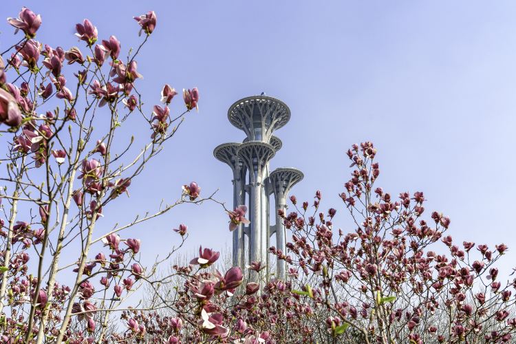 Olympic Park