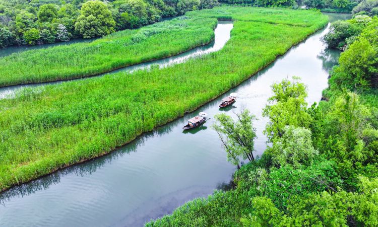 Xixi Wetland